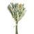 Lavender Bundle White