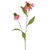 Pink Rudbeckia Spray