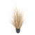 Gold Potted Grass (H97cm)