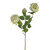 Light Green Sorbet English Rose Spray (64cm)