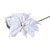 70cm Single Poinsettia White 