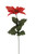 Single Red Poinsettia (x12)
