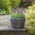 Stewart 40cm Blenheim Half Barrel - Pewter Stewart 40cm Blenheim Half Barrel - Pewter