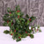 40cm Green Holly Bush 40cm Green Holly Bush