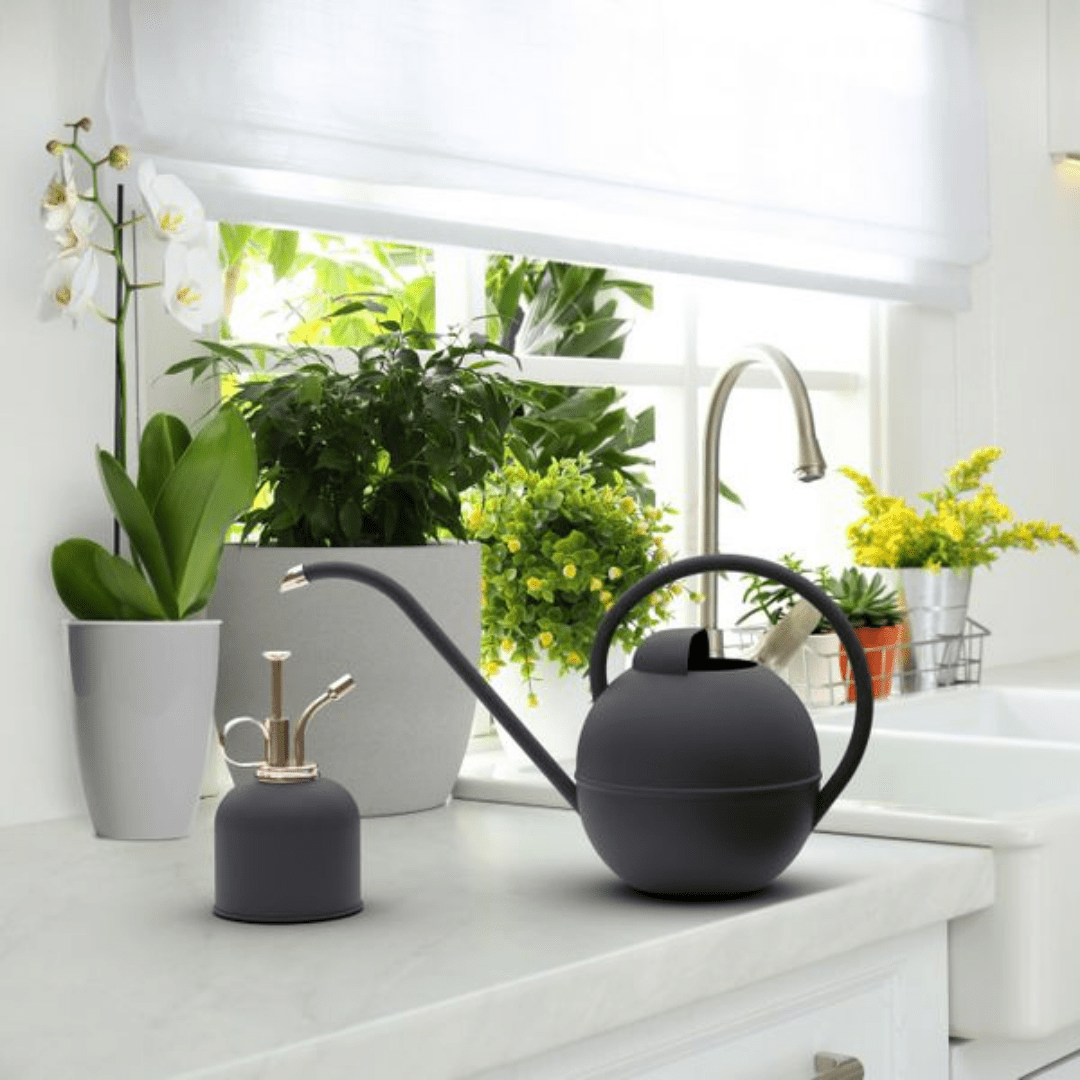 Houseplant Accessories