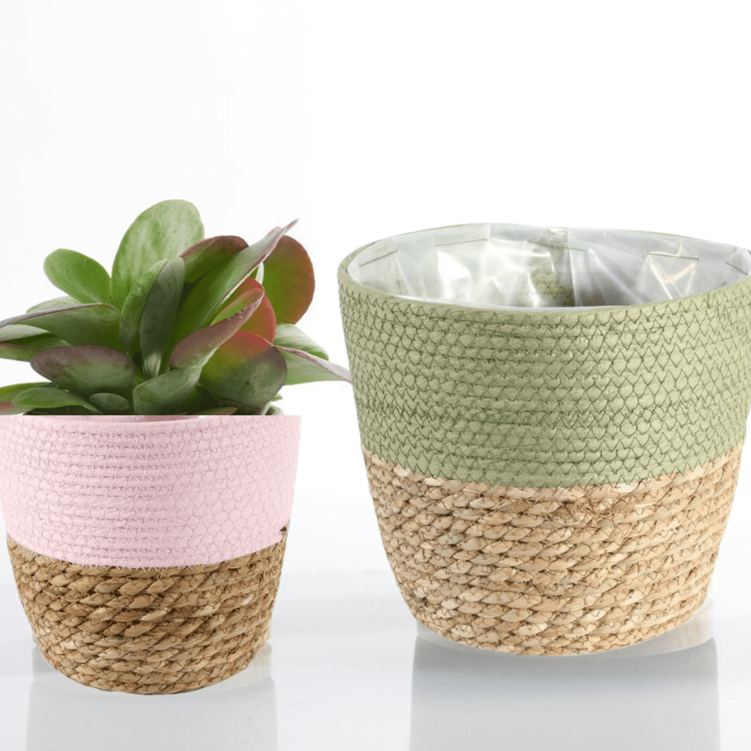 Seagrass & Wicker