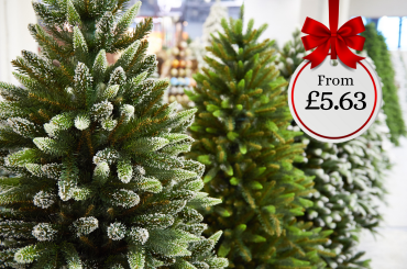 Christmas Trees & Stands 