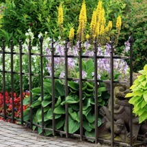 Decorative Fencing