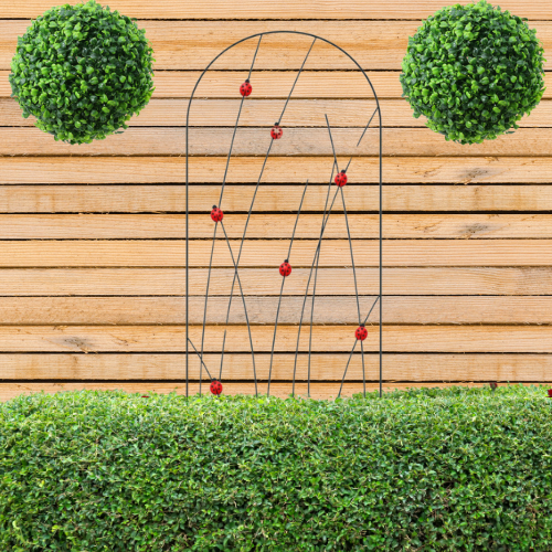 Artificial Plants & Trellis