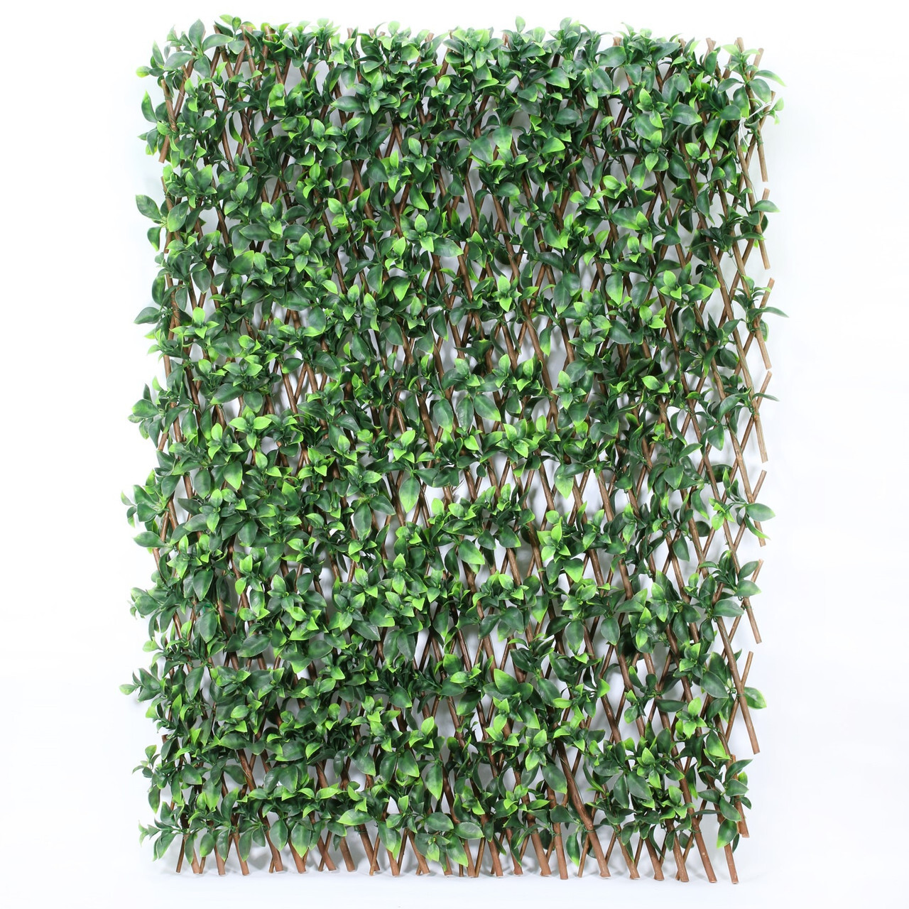 Trellis