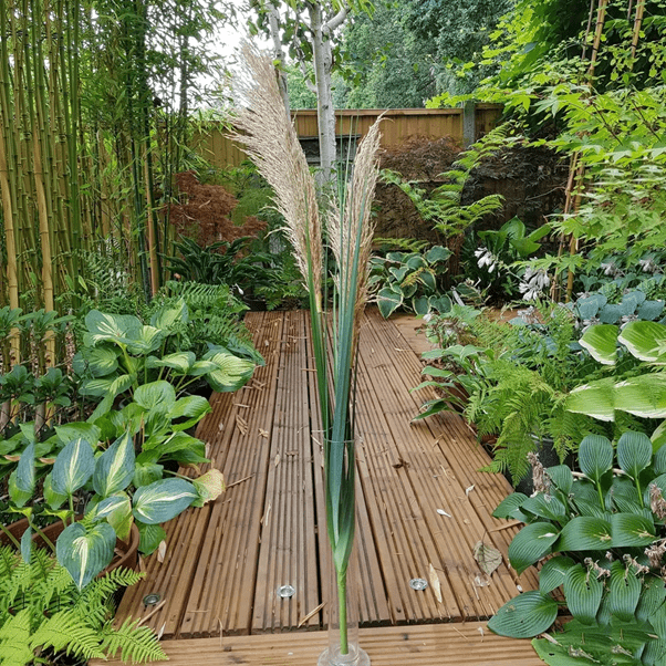 Pampas & Grass & Stems