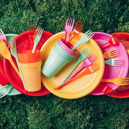 Disposable Tableware