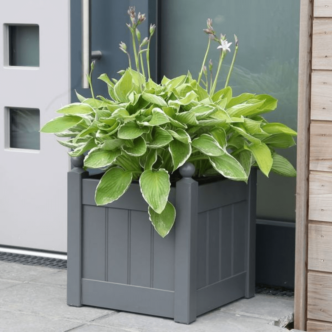 Outdoor Pots & Planters