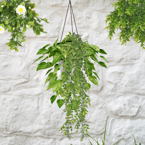 UV Protected Plants