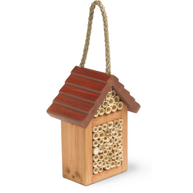 Tom Chambers Happy Bee Box - Discontinued