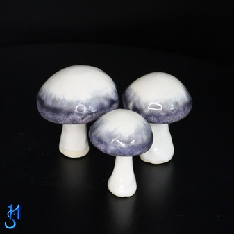 Purple Gem Mushrooms (group 1)