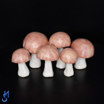 Pink Mushrooms Group 1