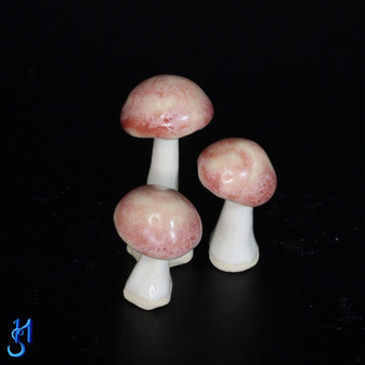 Pink Mini Mushrooms