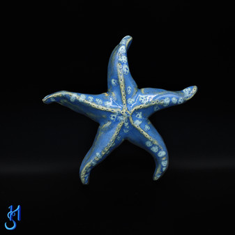 Medium Blue Sea Star