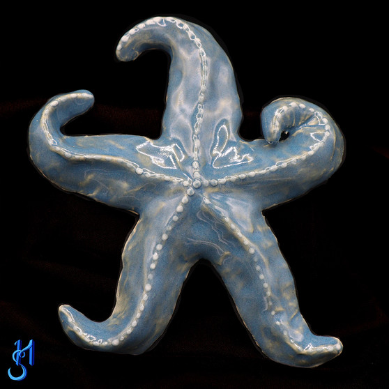 Larger Medium Blue Sea Star