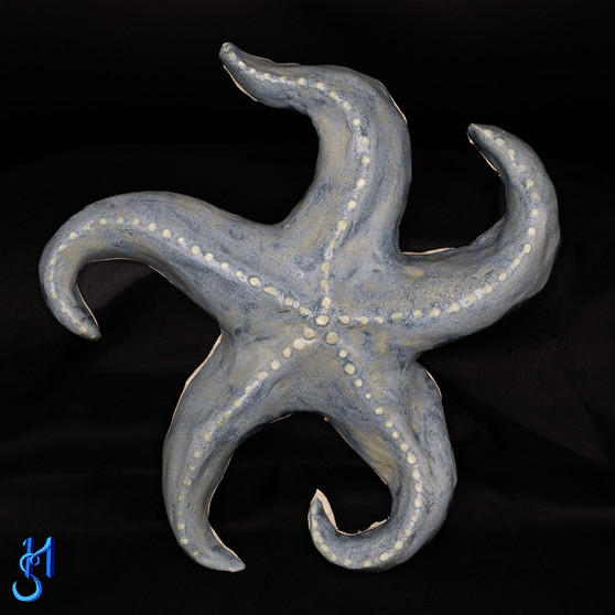 Grey Shimmer Sea Star