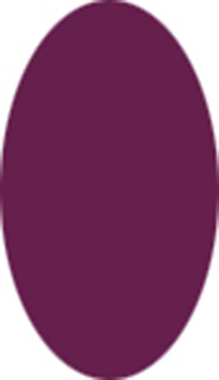 U2 Pastel, Present & Future Color Acrylic Powder - Girls & Boysenberry - 4 oz