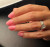 Light Elegance P+ Color Gel Polish Prim and Proper- 10 ml