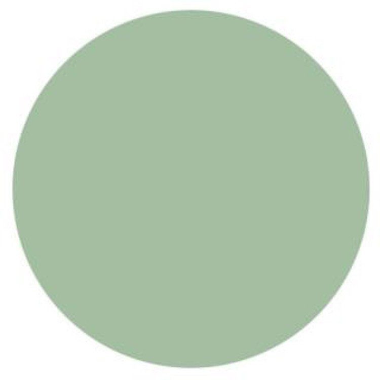 NSI Technailcolor Colored Acrylic - Sea Foam Green Powder