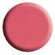 BASIC ONE - Designer Gel Fuchsia - 1/4oz