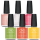 CND Vinylux Gleam & Glow Summer 2024 Collection