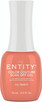 Entity Color Couture Soak Off Gel I'LL TAKE IT - 15 mL / .5 fl oz