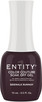 Entity Color Couture Soak Off Gel SIDEWALK RUNWAY - 15 mL / .5 fl oz