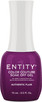 Entity Color Couture Soak Off Gel AUTHENTIC FLAIR - 15 mL / .5 fl oz