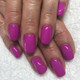 DND - Gel & Lacquer - Purple Pride - #416