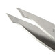 Tweezerman Pointed Slant Tweezer