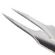 Tweezerman Ingrown Hair/Splintertweezer