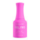 Kiara Sky Gel Pro Hema-Free Royal Gossip
