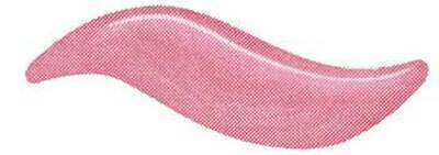 Elizabeth Arden Classic Lacquer