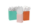 Color Paper Bags