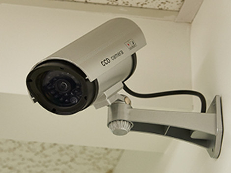 Business Laws and Security