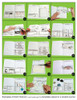Dinah Zike's Notebooking Central Notebook Foldables Earth Science: Land Inside and Out Digital Copy