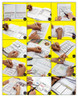Dinah Zike's NBC Notebook Foldables Strategies for Comprehending & Interacting w/ Informational Text Digital Copy