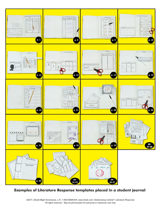 Nc litresponse book oct3 final layout 1 (page 03)