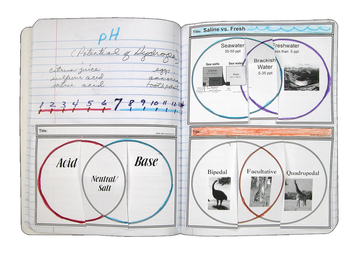 Nbf example science