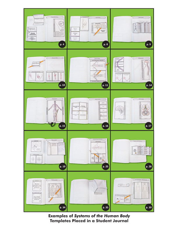 Nc humanbodysystems nov11 layout 1 (page 03)