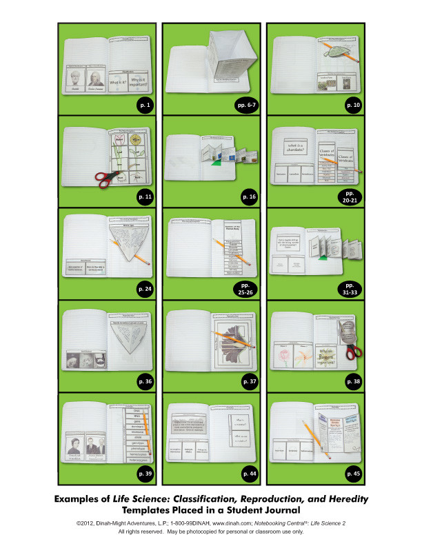 Nc lifescience2 class oct3 final layout 1 (page 03)