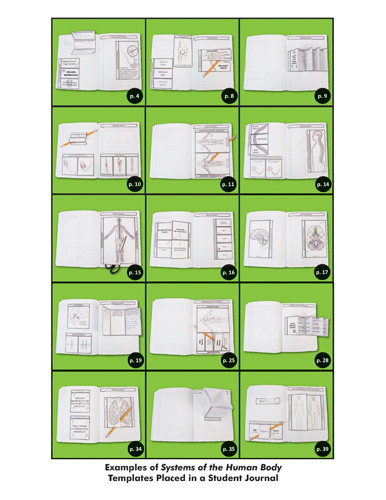 Dinah Zike's Notebooking Central Notebook Foldables Systems of the Human Body Digital Copy