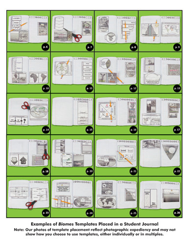 Dinah Zike's Notebooking Central Notebook Foldables Topic Investigation Biomes Digital Copy