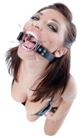 Fetish Fantasy Extreme Spider Gag