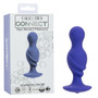 Calexotics Connect Advanced Probe - Purple